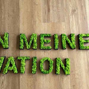 Pu&ograve; includere: Lettere di muschio verde che compongono "N MEINE ATION" su una superficie di legno. Le lettere sono bordate di nero e riempite di muschio verde vibrante, creando un aspetto strutturato e naturale. Lo sfondo in legno &egrave; di colore marrone chiaro.