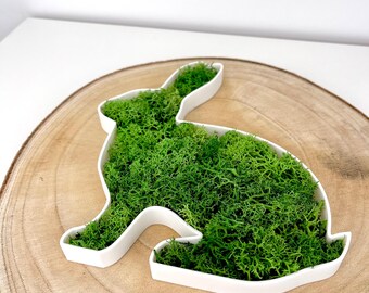苔うさぎのウォールアート – 本物の苔を詰めた3Dプリントのうさぎ