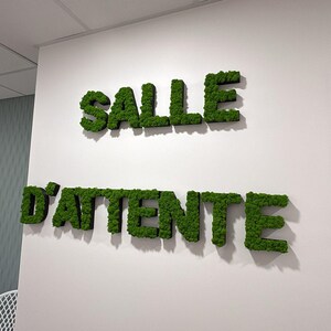 Pu&ograve; includere: Lettere di muschio verde compongono "SALLE" sopra "D'ATTENTE" su un muro bianco. Le lettere tridimensionali creano un aspetto naturale e strutturato. La scena suggerisce una sala d'attesa o un'area di ricevimento.