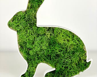 苔うさぎのウォールアート – 本物の苔を詰めた3Dプリントのうさぎ