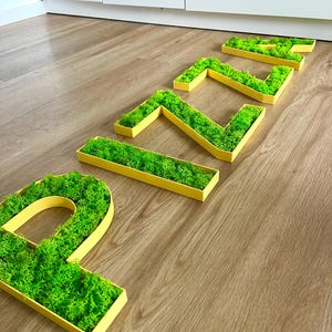 Pu&ograve; includere: La parola "RELAX" scritta in lettere singole. Ogni lettera &egrave; una cornice giallo brillante riempita di muschio verde vibrante. Le lettere sono disposte su un pavimento in legno marrone chiaro.