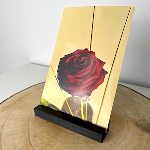 May include: A single red rose with green stems is displayed in a clear glass vase on a yellow background. The image is framed with a black stand.