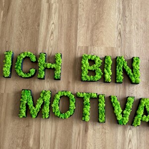 Pu&ograve; includere: Lettere di muschio verde che compongono la scritta "ICH BIN MOTIVAT" su una superficie di legno. Le lettere sono delineate in nero, con il muschio che riempie l'interno di ogni lettera. L'estetica generale &egrave; naturale e decorativa.