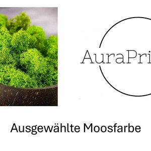 Pu&ograve; includere: Primo piano di muschio verde brillante in una ciotola marrone scuro strutturata. Il muschio &egrave; denso e dall'aspetto naturale. L'immagine include anche il testo "Ausgew&auml;hlte Moosfarbe" e il logo AuraPrintDE.