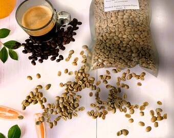 Green Coffee Arabica Uganda Elgon, Green coffee beans Arabica Uganda grown on Volcanic soils