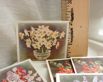 Vtg Godfrey Phillips Cigarette Cards Flower Studies 12 Count Assorted