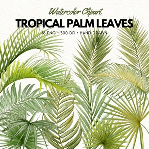 Clipart de hojas de palmera tropical en acuarela, descarga de jardinería, hojas de palmera, elemento, impresión de plantas verdes, pegatinas para planificador, dibujado a mano, PNG