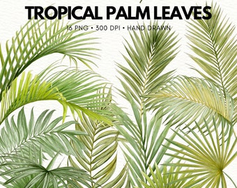 May include: Watercolor clipart of tropical palm leaves. 16 PNG files, 300 DPI, hand drawn.