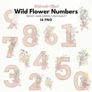 Könnte beinhalten: Aquarell-Clipart mit den Zahlen 0-9, jede mit einem Blumenstrauß und einer rosa Schleife verziert. Die Zahlen sind in einem sanften Beige gehalten, mit dem Text "Wild Flower Numbers" oben. Der Text "300 DPI • HAND PAINTED • HIGH QUALITY • 14 PNG" ist ebenfalls enthalten.