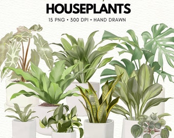 Watercolor Houseplant Clipart: Tropical Greenery PNG (Digital Download)