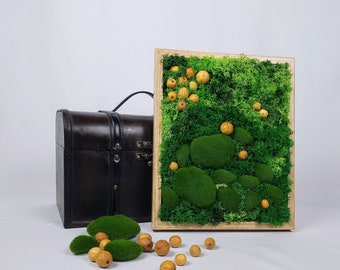 Plant painting with moss, dried fruits, artificial moss ball, decorative frame, preserved plant, lichen, botanical art
