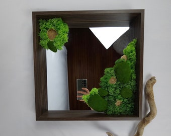 Square plant mirror with stabilized and artificial plants