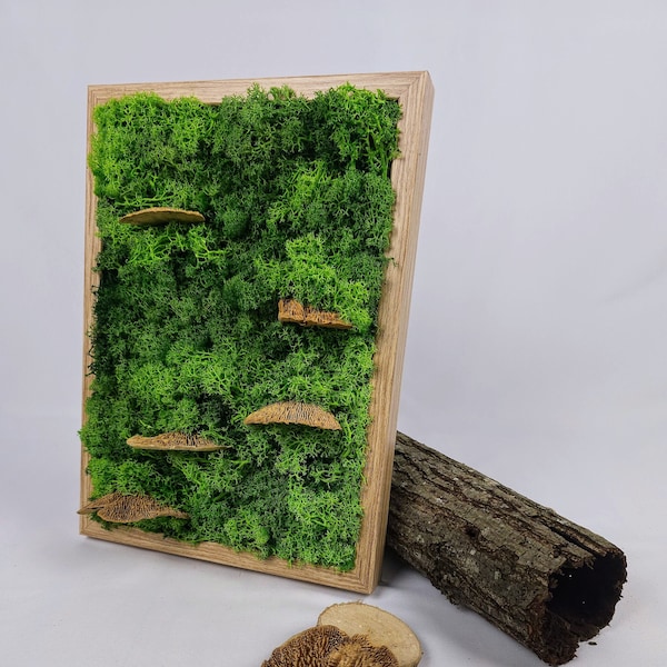 Tableau végétal, Mousse stabilisée, lichen, champignon séché, cadeau original, cadre décoratif, cadre nature, plantes sans entretien