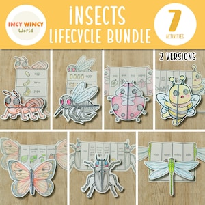 Insect Life Cycle Foldable | Bundle life cycle | Butterfly Beetle Bee Ladybug Ant Mosquito Dragonfly Life cycle | Learning Activity For Kids
