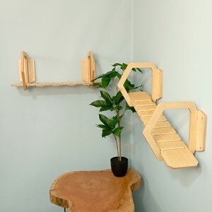 May include: A wooden cat shelf unit with a bridge and a shelf. The shelf unit is mounted on a light blue wall. A small potted plant is in the corner of the room.