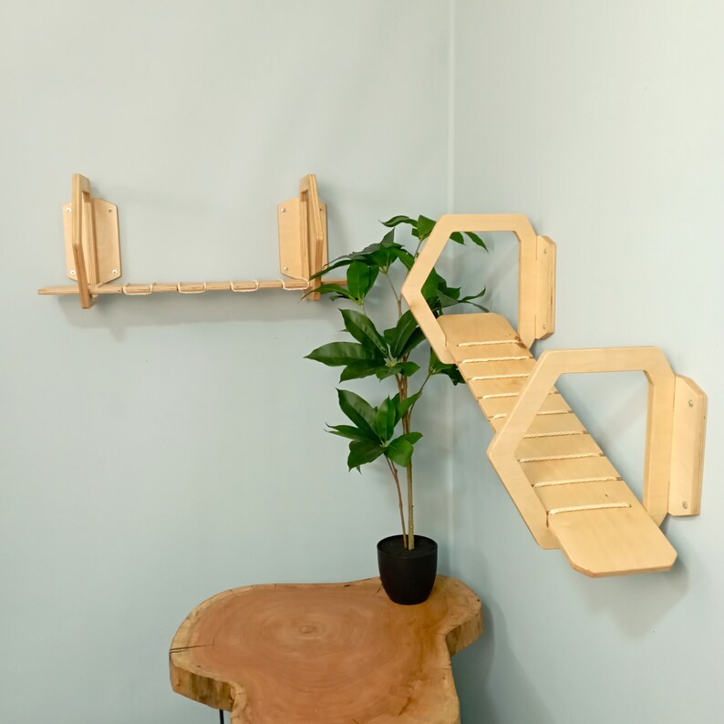 May include: A wooden cat shelf unit with a bridge and a shelf. The shelf unit is mounted on a light blue wall. A small potted plant is in the corner of the room.