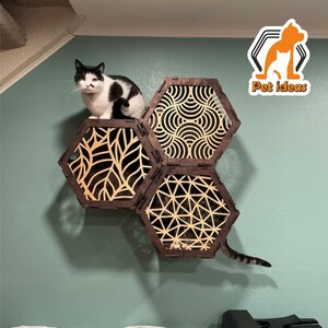 cat shelves for wall set