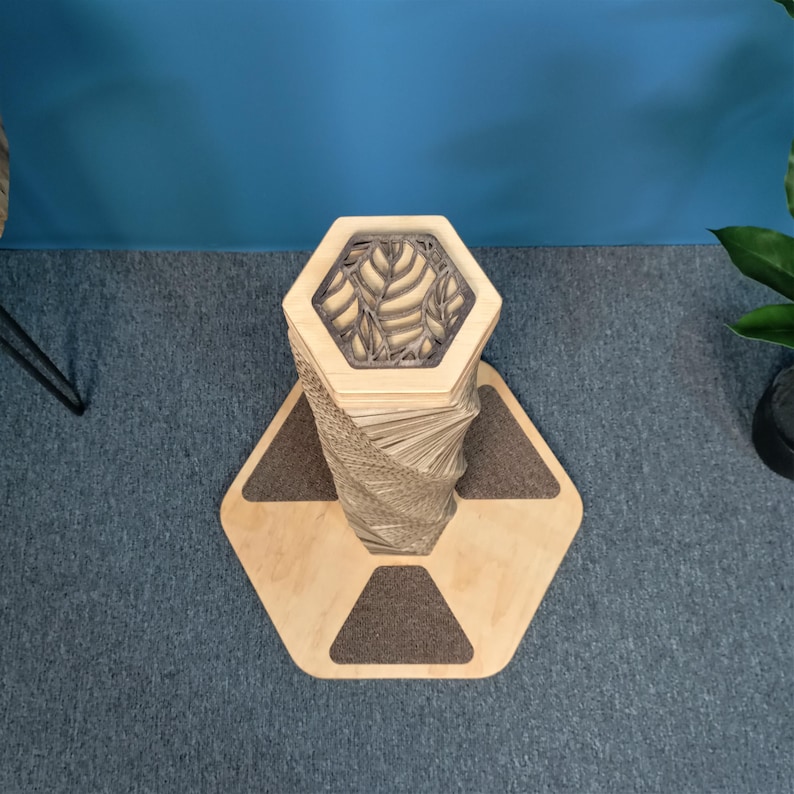 cat scratching surface