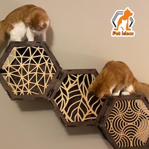 modular honeycomb cat wall shelves