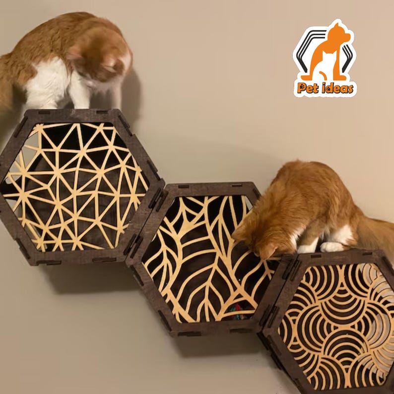 modular honeycomb cat wall shelves