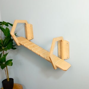 May include: A wooden cat climbing shelf with a hexagonal shape and a ladder-like platform. The shelf is mounted on a wall and is made of natural wood.