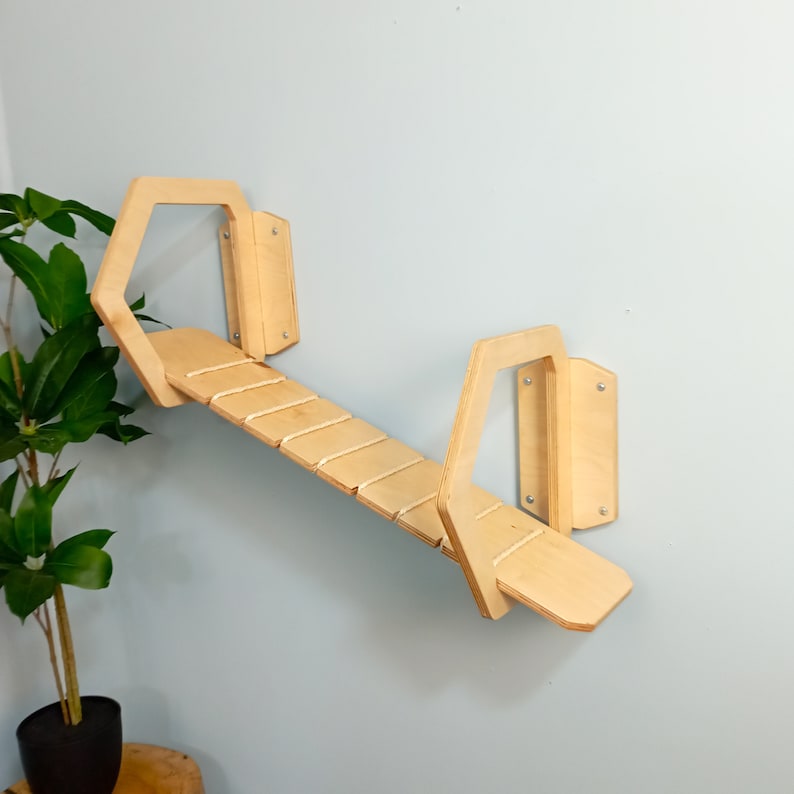 May include: A wooden cat climbing shelf with a hexagonal shape and a ladder-like platform. The shelf is mounted on a wall and is made of natural wood.