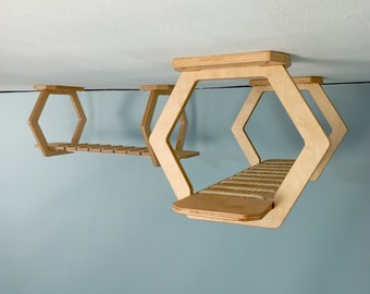 Modern Ceiling Cat Shelves, Stylish Perch for Cats, Ceiling Mounted Cat Furniture, Unique Feline Hangout