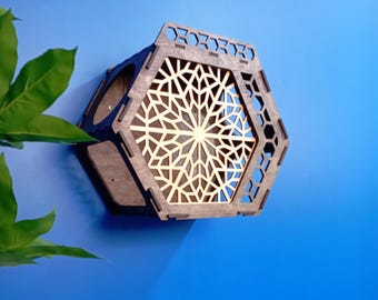 Hexagon Cat Wall Shelf – Single Honeycomb Cat Shelf for Modular Wall Furniture