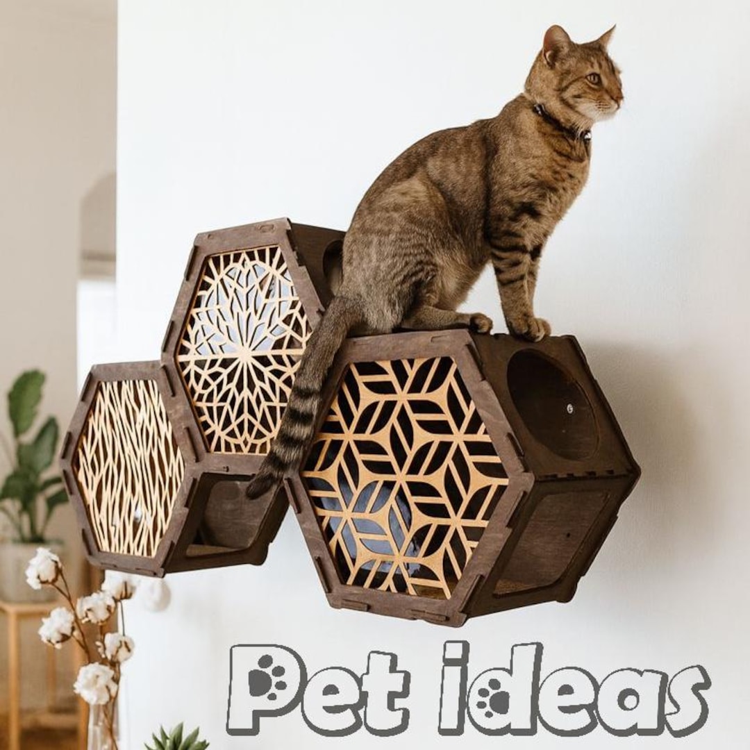 Hexagon Cat Wall Shelves Set of 3 β Modular Honeycomb Cat Shelves ...