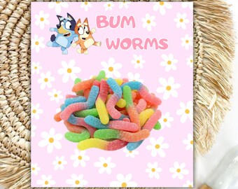 Bum Worms Bluey Party Favors for Girl Party Blue Dog Theme Girls Birthday Treat Bundles Bluey Girl Gift Party Bluey and Bingo BB04