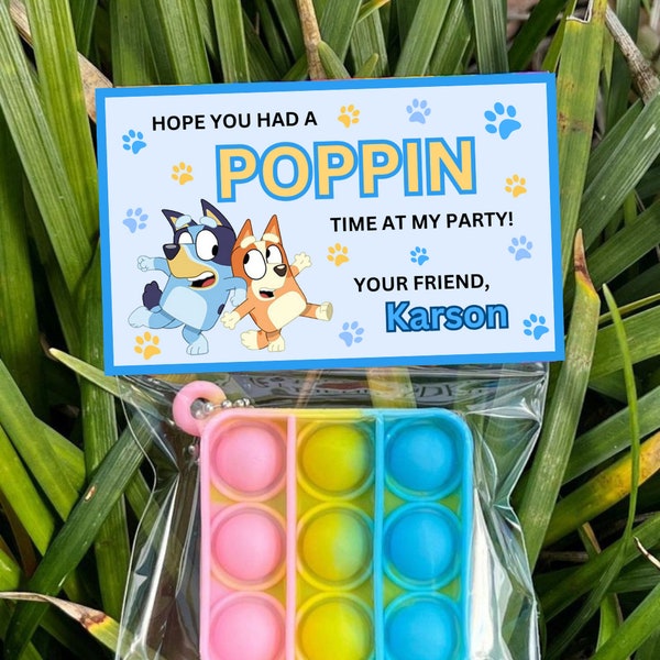 Bluey Poppin Tag Party Bluey Pop Fidgety Tag Bag Party Favors Bluey Boy Poppin Topper Bag Label Treat Bag Bluey Boy Gift Party Bluey BB06