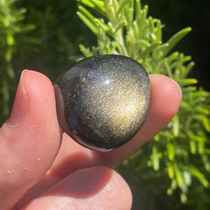 Golden Obsidian Tumbled Stone