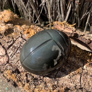 Escarabajo de obsidiana de ojo celestial