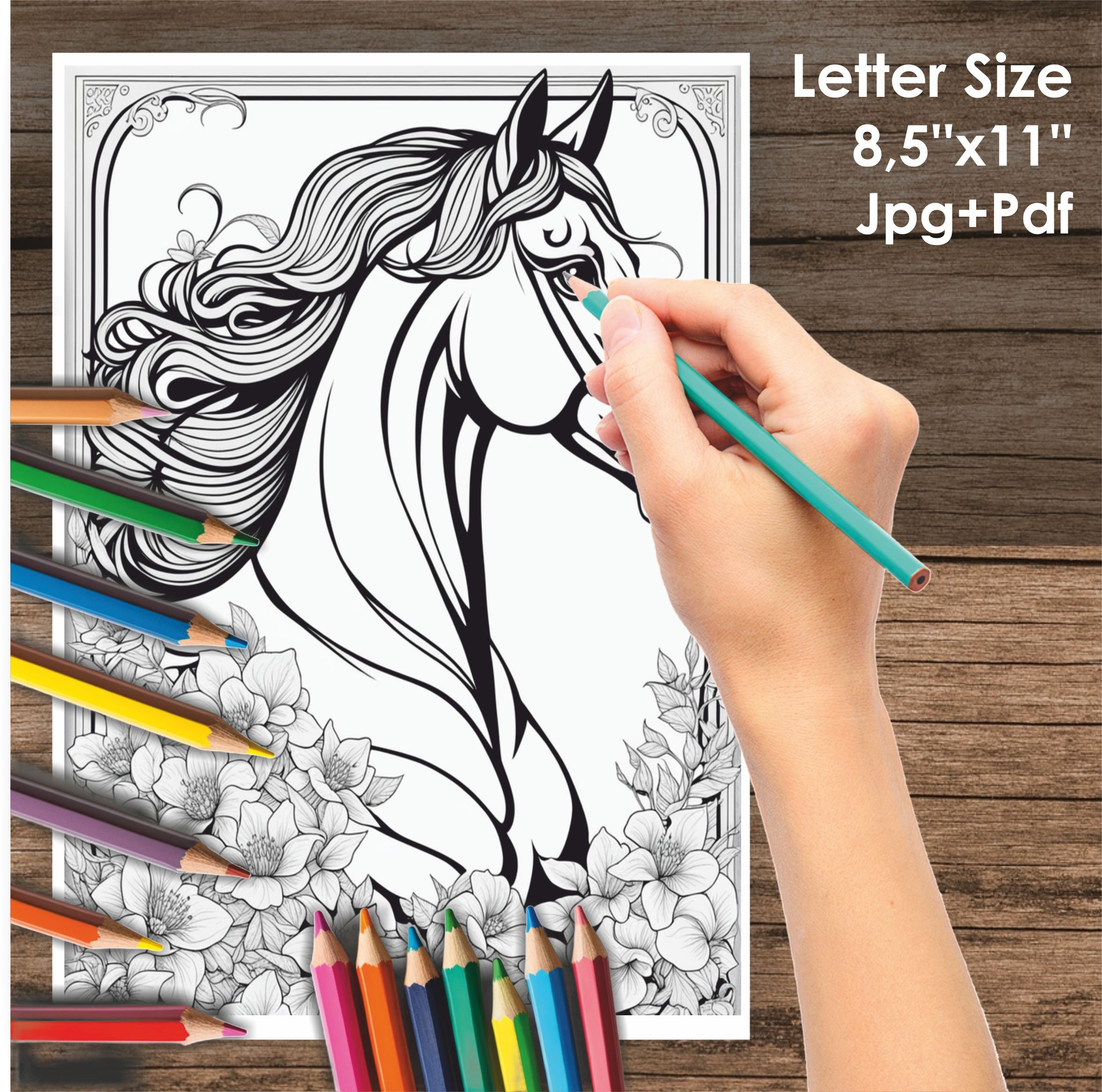 Horse Coloring Book - 24 Horse Coloring Pages for Adults - Instant ...