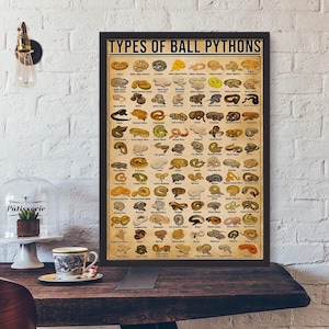 Types Of Ball Pythons Poster, Pet Snake Lover Gift Print, Reptile Keeper Wall Art, Herpetology Decor, Snake Breeder Present Idea