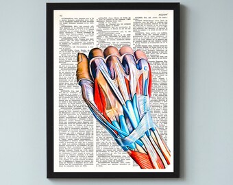 Hand Muscles Anatomy Poster, Medical Art, Chiropractic Wall Art, Printable Anatomy Set, Doctor Gift, Anatomy illustrations, Medical Gift