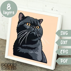 Chat noir exotique à poils courts 3D SVG en couches pour papier cartonné, papier découpé multicouche, fichiers Shadow Box pour Cricut, silhouette dxf, mémorial pour animaux de compagnie