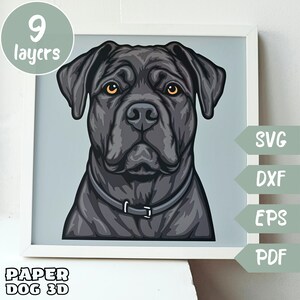 May include: A digital illustration of a black dog's head with a collar. The dog has a serious expression and is looking directly at the viewer. The image is in a white frame with the text "9 layers" and "PAPER DOG 3D" below the frame. The text "SVG, DXF, EPS, PDF" is on the right side of the frame.