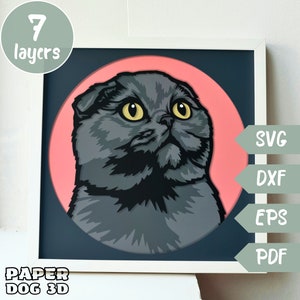 Scottish Fold chat gris 3D SVG en couches pour papier cartonné, papier découpé multicouche, fichiers Shadow Box pour Cricut, fichier de coupe dxf silhouette, mémorial pour animaux de compagnie