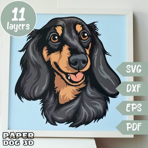 Langhaar Dackel SVG 3D Layered Für Cardstock, Multilayer Papercut, Schattenbox-Datei für Cricut Silhouette Dxf, Hundegesicht Schnittdatei, Haustier