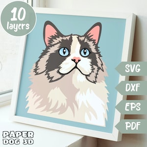 Chat Ragdoll SVG en couches 3D pour papier cartonné, papier découpé multicouche, fichiers Shadow Box pour Cricut, silhouette dxf, fichier de coupe, mémorial pour animaux de compagnie