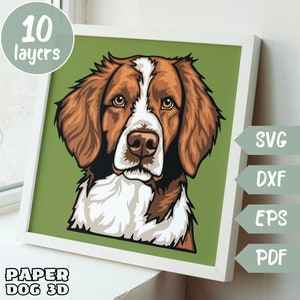 Spaniel bretão 3D em camadas SVG para cartolina, corte de papel multicamadas, arquivos de caixa de sombra para Cricut, silhueta dxf, arquivo de corte de cachorro, memorial de animal de estimação