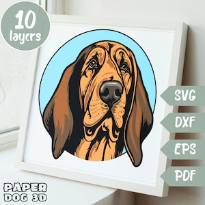 Bloodhound 3D Layered SVG For Cardstock, Multilayer Paper cut, dog Shadow Box files for Cricut, silhouette dxf, pet memorial, Dog 3D Mandala