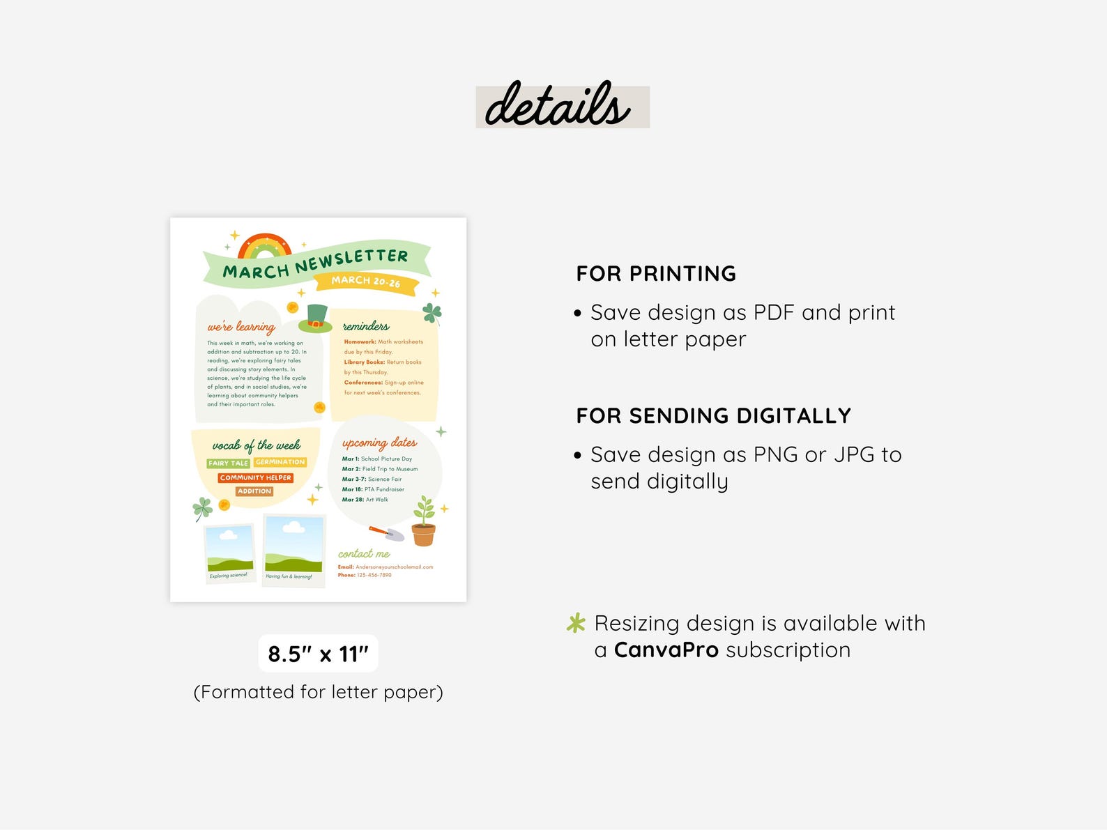 Editable March Newsletter Template | St Patricks Day Newsletter Monthly ...