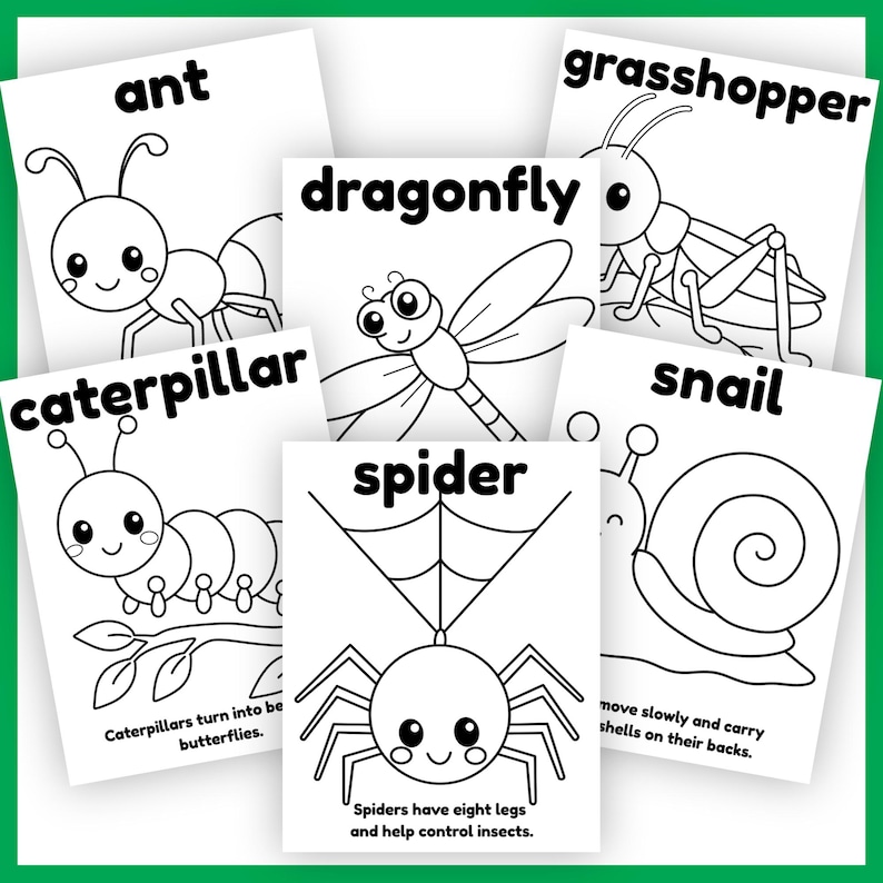 Bug Coloring Pages — Example 1 Bug Coloring Pages — Example 1