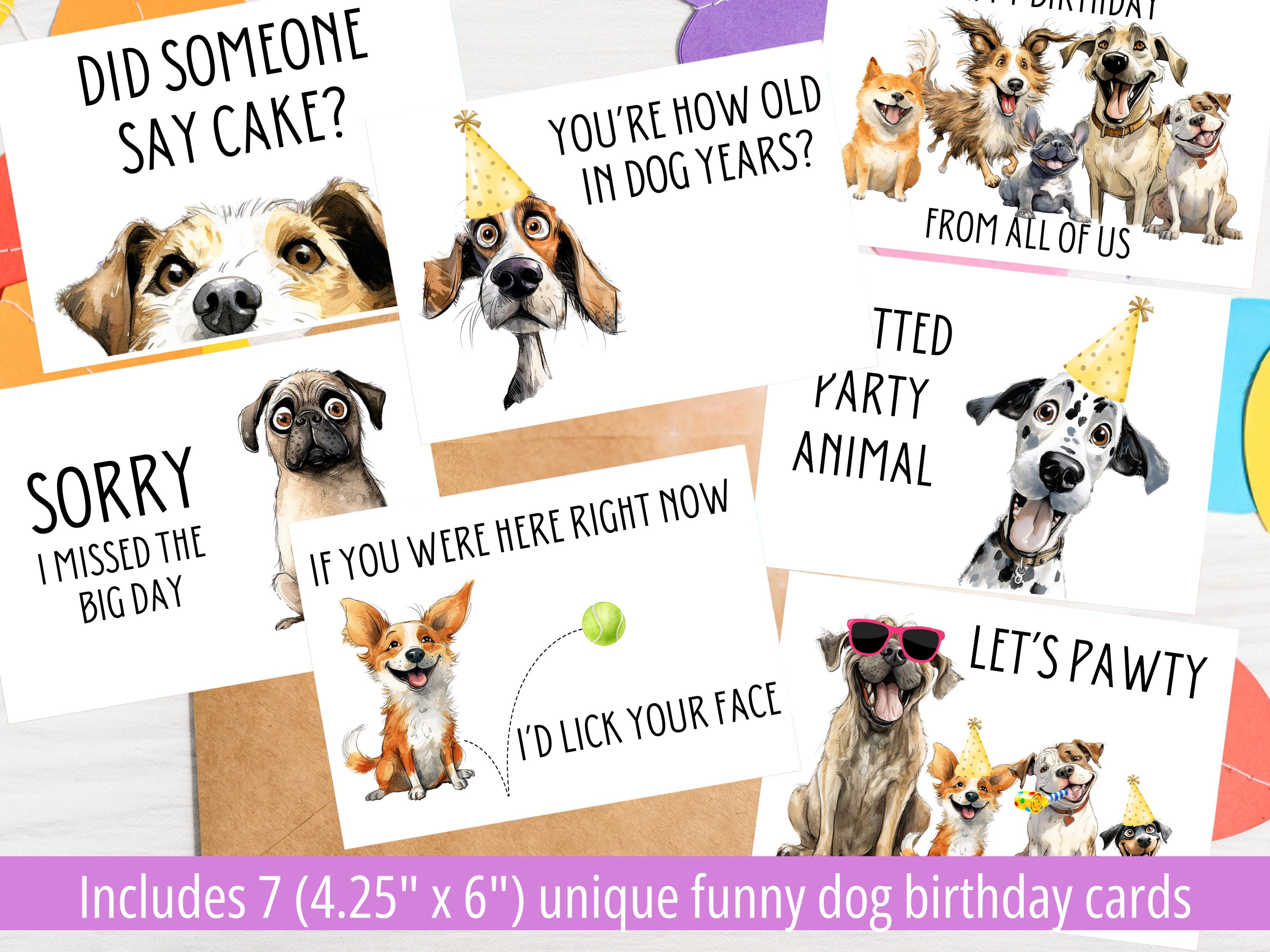 Funny Dog Birthday Card Bundle L 7 Unique Birthday Cards - Etsy