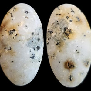May include: Two oval-shaped, speckled eggs against a black background. The eggs are primarily off-white with patches of tan, gray, and black speckles. The eggs have a smooth, polished appearance, and the lighting highlights their rounded forms.