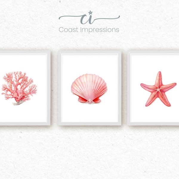 Coastal Treasures: Pale Pink Coral Watercolor Wall Art Print Set of 3, Seashell, Starfish, Coral, Marine Life, Textured Watercolor Paper