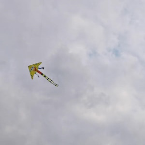 Schwamm Cartoon Drachen - Lustiges Outdoor-Spielzeug für Kinder und Erwachsene, einfach zu fliegen mit langem Schwanz und Glasfaserrahmen