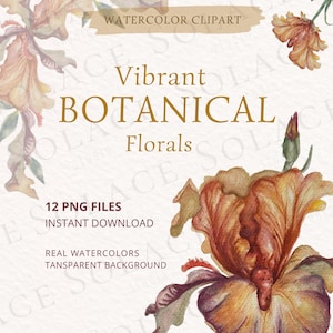 Puede incluir: Clipart de acuarela con vibrantes flores botánicas. La imagen muestra una pintura detallada de acuarela de una flor en tonos marrones, naranjas y morados. El texto incluye "Vibrant BOTANICAL Florals" y "12 PNG FILES - INSTANT DOWNLOAD".